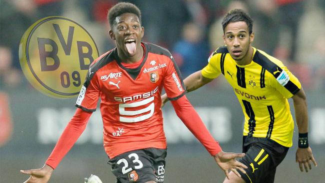 云南助教：明天是最后一个主场，希望能够取得顺利的结果（云南助教：明日迎来最后主场，盼顺利收官）